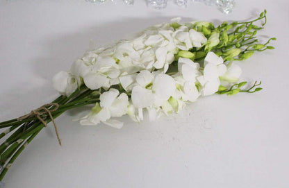 Mixed Box of Dendrobium Bunches (Purple, Green, White, and Dyed Blue)