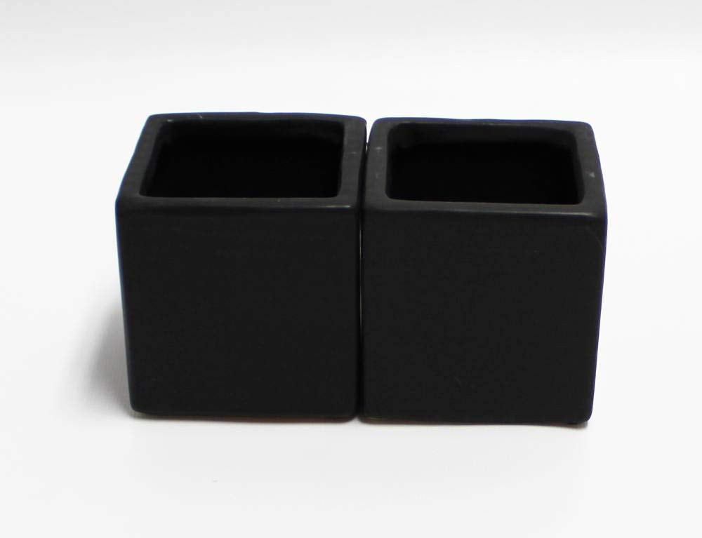 Live 2-Inch Assorted Succulent Set – Mini Potted Plants with Decorative Rocks (2, 3, or 5 Pack)