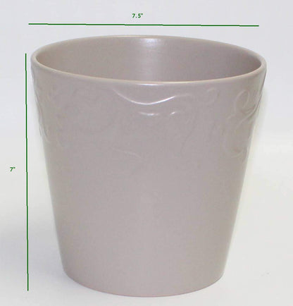 Hino-Crimson Azalea – 1 Gallon Outdoor Shrub with Vibrant Red Blooms