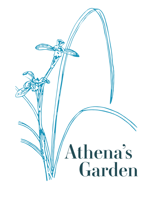 Athena's Garden