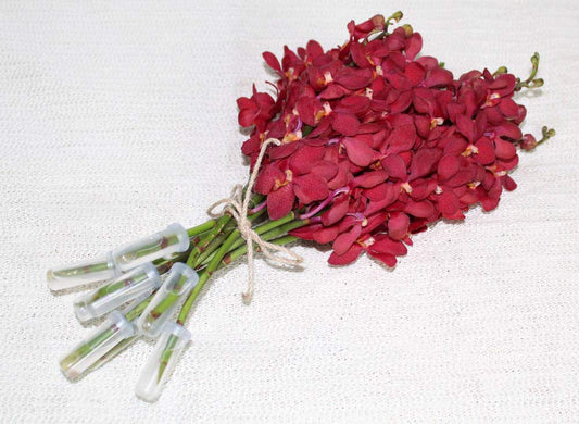 Deep Red Mokara Cut Orchids